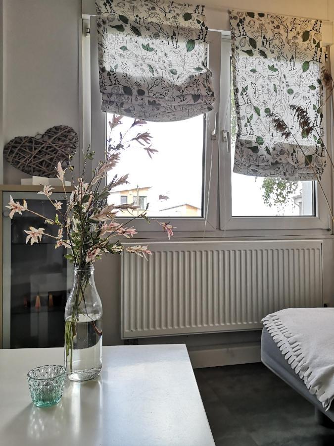 Gaestehaeuschen „Kleine Auszeit“ 格赖夫斯瓦尔德 外观 照片